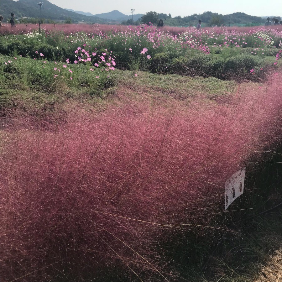 8082aa8fe667334076504041d6568713_1750120640_7654.jpeg